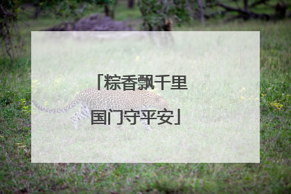 粽香飘千里 国门守平安